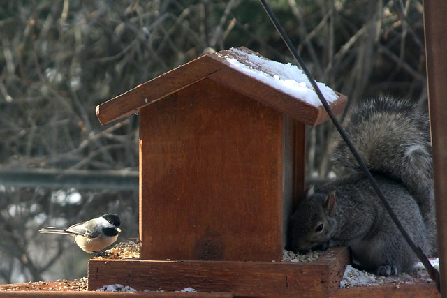 8633785222_5f3d49289b_z